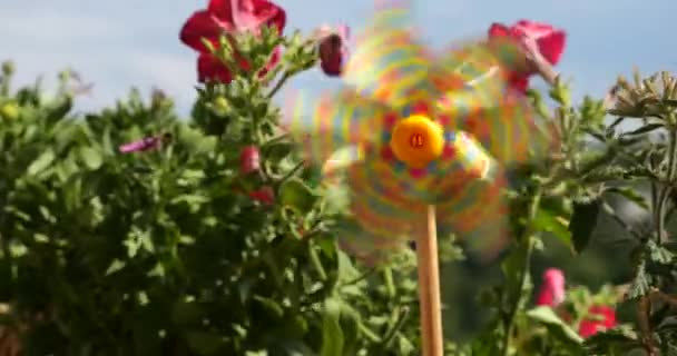 Pinwheel Wielu Kolorowych Serc Wśród Kwiatów Balkonu Petunii Tle Lasu — Wideo stockowe