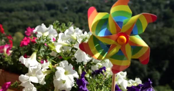 Pinwheel Kolorów Tęczy Wśród Kwiatów Petunii Balkon Tle Lasu Koncepcja — Wideo stockowe