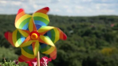 Balkon petunya çiçekleri arasında gökyüzü ve ormanın arka planına karşı gökkuşağı renklerinin fırıldağı. LGBT renk kavramı.