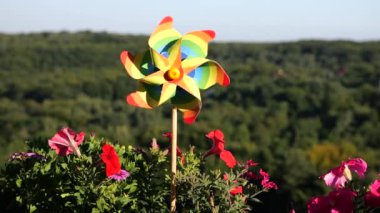Balkon petunya çiçekleri arasında gökyüzü ve ormanın arka planına karşı gökkuşağı renklerinin fırıldağı. LGBT renk kavramı.
