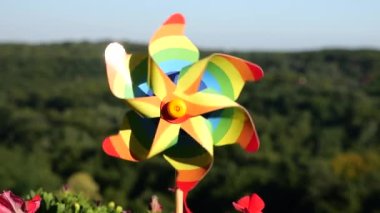 Balkon petunya çiçekleri arasında gökyüzü ve ormanın arka planına karşı gökkuşağı renklerinin fırıldağı. LGBT renk kavramı.