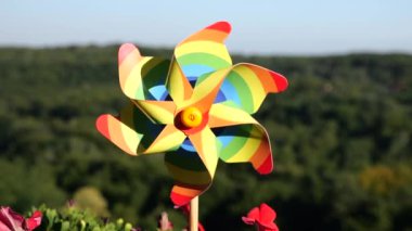 Balkon petunya çiçekleri arasında gökyüzü ve ormanın arka planına karşı gökkuşağı renklerinin fırıldağı. LGBT renk kavramı.