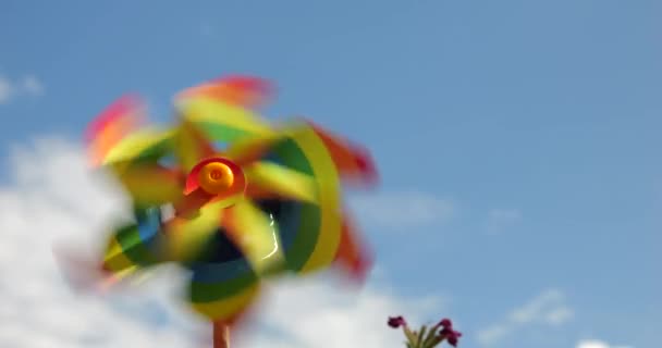 Culorile Pinwheel Ale Curcubeului Fundalul Cerului Conceptul Culori Lgbt — Videoclip de stoc