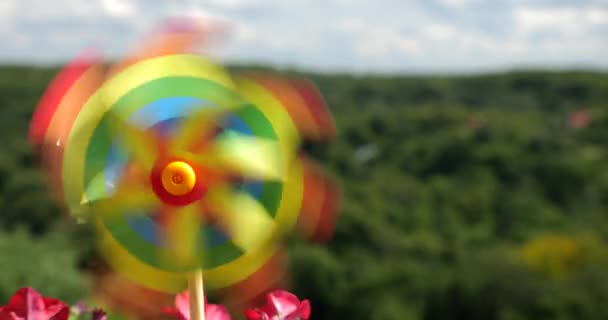 Windrad Regenbogenfarben Zwischen Den Balkonpetunienblüten Vor Dem Hintergrund Des Waldes — Stockvideo