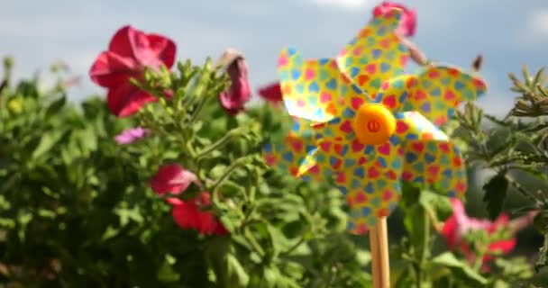 Pinwheel Kolorowymi Sercami Wśród Kwiatów Petunii Balkonu Przed Niebem — Wideo stockowe