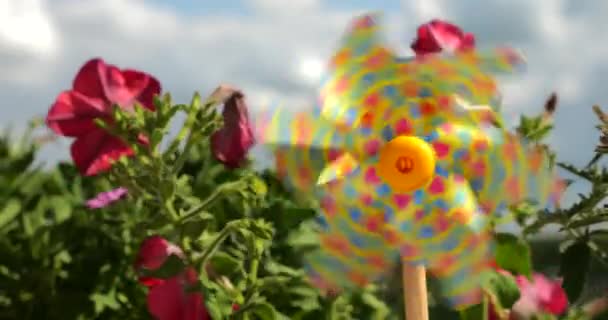 空に対するバルコニーペチュニアの花の間にカラフルなハートを持つピンホイール — ストック動画