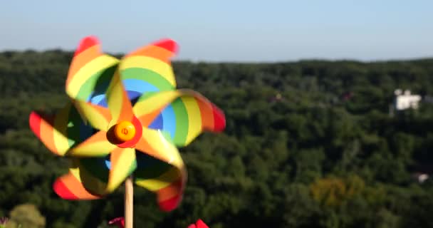 在森林和天空的背景下 一个彩虹色的飞轮 Lgbt色彩概念 — 图库视频影像