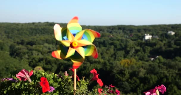 Pinwheel Kolorów Tęczy Wśród Kwiatów Petunii Balkon Tle Lasu Nieba — Wideo stockowe