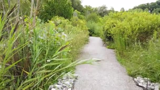 Passeggiata Lungo Pittoreschi Sentieri Tra Una Vegetazione Lussureggiante Nel Parco — Video Stock