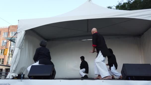 Toronto Canada August 2023 Performanța Demonstrativă Practicanților Tai Chi Festivalul — Videoclip de stoc