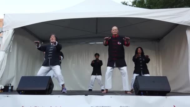 Toronto Kanada August 2023 Demonstration Des Tai Chi Mit Schwertern — Stockvideo