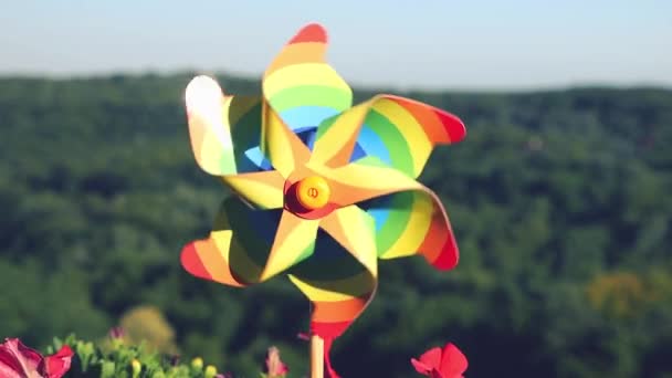 Pinwheel Regnbågens Färger Bland Balkongen Petunia Blommor Mot Bakgrund Skogen — Stockvideo