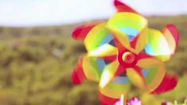 Balkon petunya çiçekleri arasında gökyüzü ve ormanın arka planına karşı gökkuşağı renklerinin fırıldağı. LGBT renk kavramı.