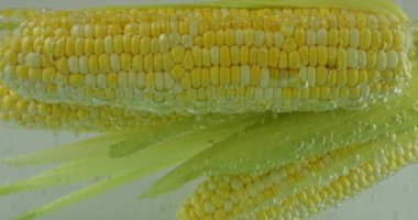 Kaynar suda, hava kabarcıklı mısır koçanları..