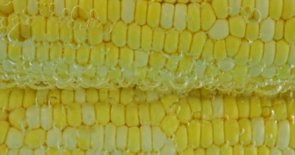 Corn Cobs Boiling Water Air Bubbles — Stock Video