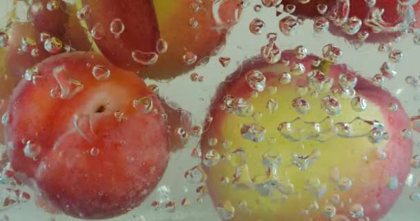 Abstract Background Fruits Berries Water Air Bubbles — Stock Video