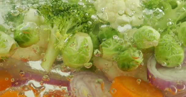 Mieszanina Warzyw Produkcji Zupy Wrzącej Wodzie Pęcherzykami Powietrza — Wideo stockowe