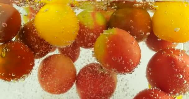Achtergrond Met Tomaten Water Met Luchtbellen — Stockvideo