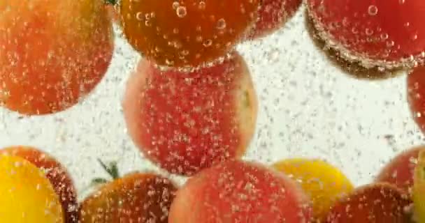 Ιστορικό Ντομάτες Στο Νερό Φυσαλίδες Αέρα — Αρχείο Βίντεο