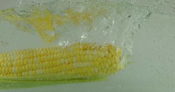 Кукурузные Початки Падают Кипящую Воду Пузырьками Воздуха — стоковое видео