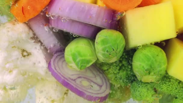 Kaynar Suda Hava Kabarcıklarıyla Çorba Yapmak Için Sebze Karışımı — Stok video