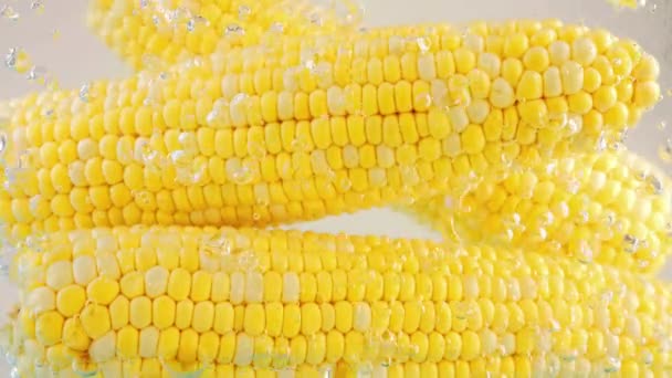 带气泡的沸水中的玉米芯 — 图库视频影像