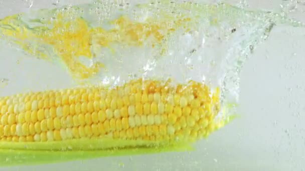 Corn Cobs Fall Boiling Water Air Bubbles — Stock Video