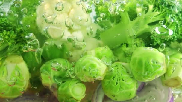 Gemüsemischung Zur Zubereitung Von Suppe Kochendem Wasser Mit Luftblasen — Stockvideo