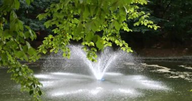 Ağacın dallarının altından, ortasında bir çeşme olan bir gölete bak. Sonbahar parkında güneş ışığıyla aydınlatılıyor. Yavaş çekim.