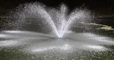 Parktaki gölete bakın. Ortasında güneş ışığıyla aydınlatılan bir çeşme var. Yavaş çekim.