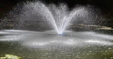 Parktaki gölete bakın. Ortasında güneş ışığıyla aydınlatılan bir çeşme var. Yavaş çekim.
