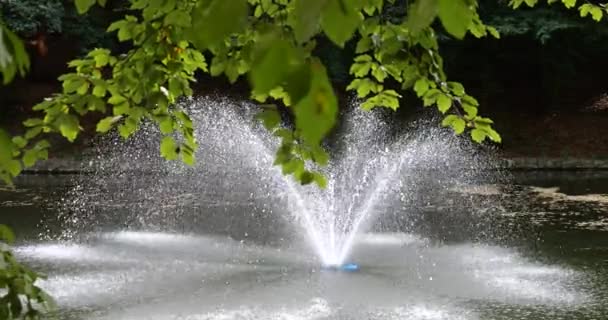 Vue Sous Les Branches Arbre Étang Avec Une Fontaine Milieu — Video