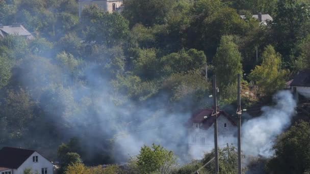 焚烧干草产生的烟雾和收获后在村舍居民点的私人地块上的作物顶部的烟雾倒影 — 图库视频影像