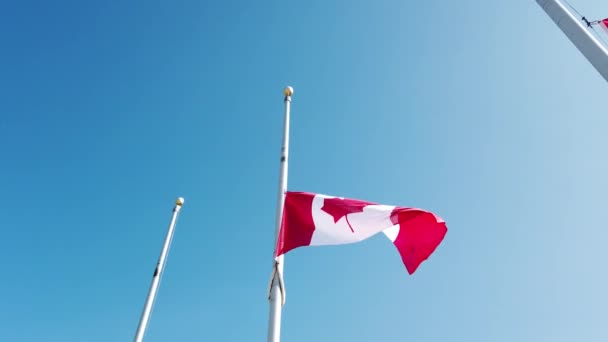 Bendera Kanada Berkibar Dalam Angin Cahaya Terhadap Langit Biru — Stok Video