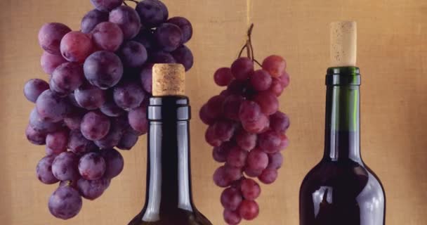 Grapes Bottles Wine Burlap Background — Stock Video