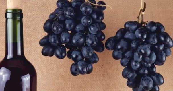 Grapes Bottle Wine Burlap Background — Stock Video