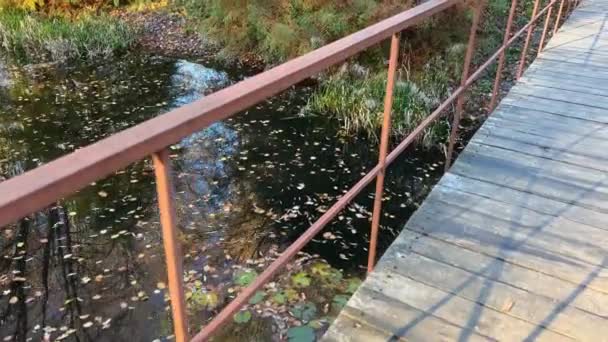 Dřevěný Most Přes Rybník Podzim — Stock video