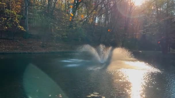 太陽の光の裏側にある湖の真ん中にある噴水の様子 — ストック動画