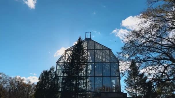 秋天花园里的温室建筑和蓝天映衬下的树木轮廓 — 图库视频影像