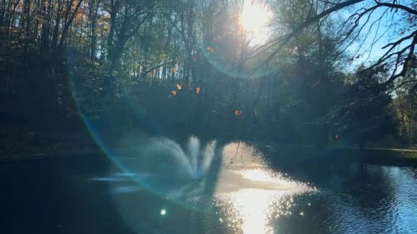 在阳光的映照下 可以看到湖心的喷泉 — 图库视频影像