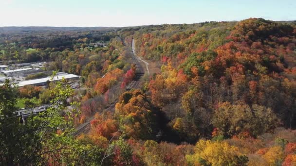 カナダハミルトンの秋の森のパノラマトップビュー — ストック動画