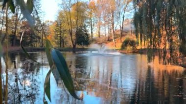 Söğüt ağacının dalları ve yaprakları arasından bir sonbahar parkındaki gölün ortasındaki çeşmeye bak..