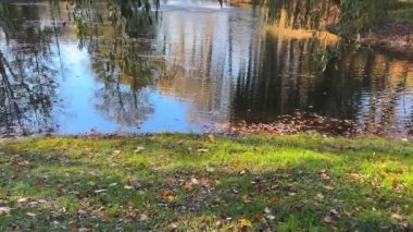 Sonbahar parkında gölün ortasında bir çeşme..
