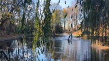 Söğüt ağacının dalları ve yaprakları arasından bir sonbahar parkındaki gölün ortasındaki çeşmeye bak..