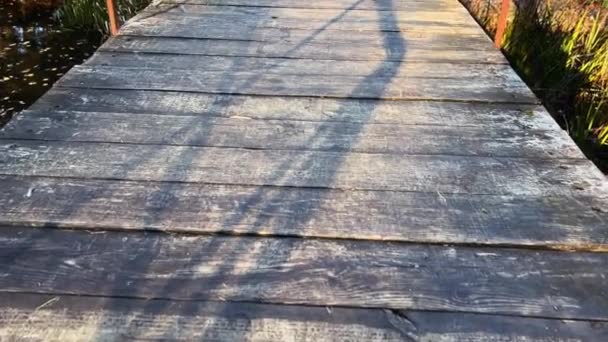 Starý Dřevěný Most Přes Rybník Podzim — Stock video