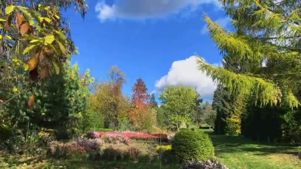 Una Variedad Árboles Hoja Caduca Coníferas Arbustos Flores Jardín Otoño — Vídeos de Stock