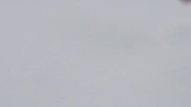 Düşen haplar ve haplar. İlaç ve sağlıklı. Kapsülleri kapat.