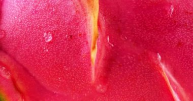 Tropikal ejderha meyveli pitahaya kabuğu bir damla su, makro.