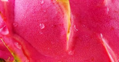 Tropikal ejderha meyveli pitahaya kabuğu bir damla su, makro.