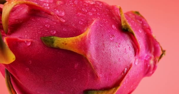 Sárkány Gyümölcs Pitahaya Cseppek Víz Izolált Rózsaszín Alapon — Stock videók